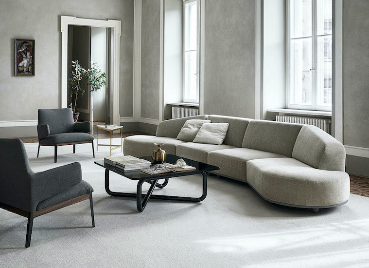 Arflex Arcolor Sofa